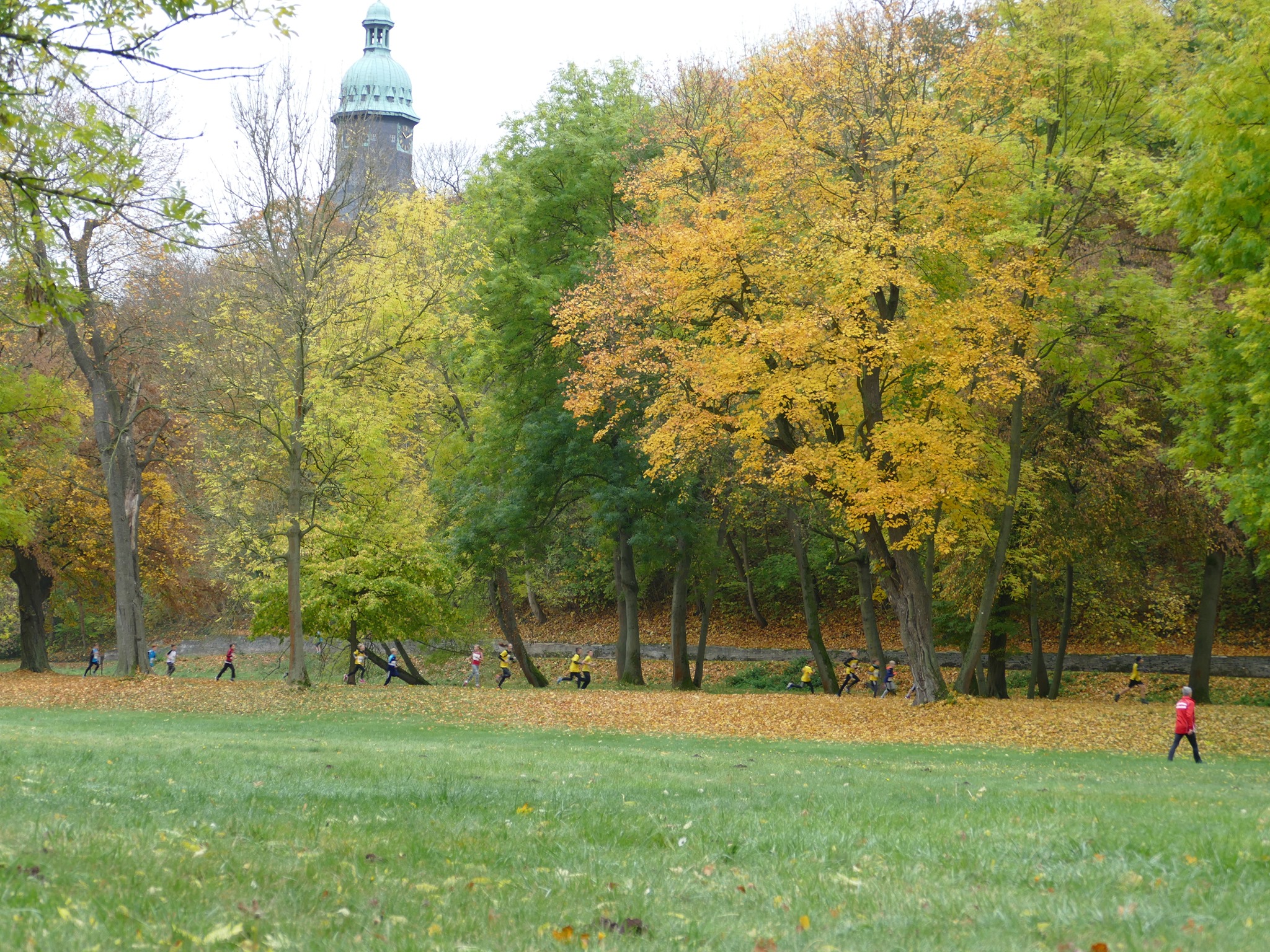 Läufer im Sondershäuser Stadtpark